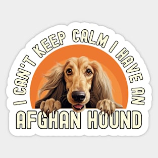 Afghan Hound Sticker